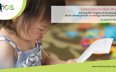 Solving the origins of knowledge: Brain development as energy minimization?