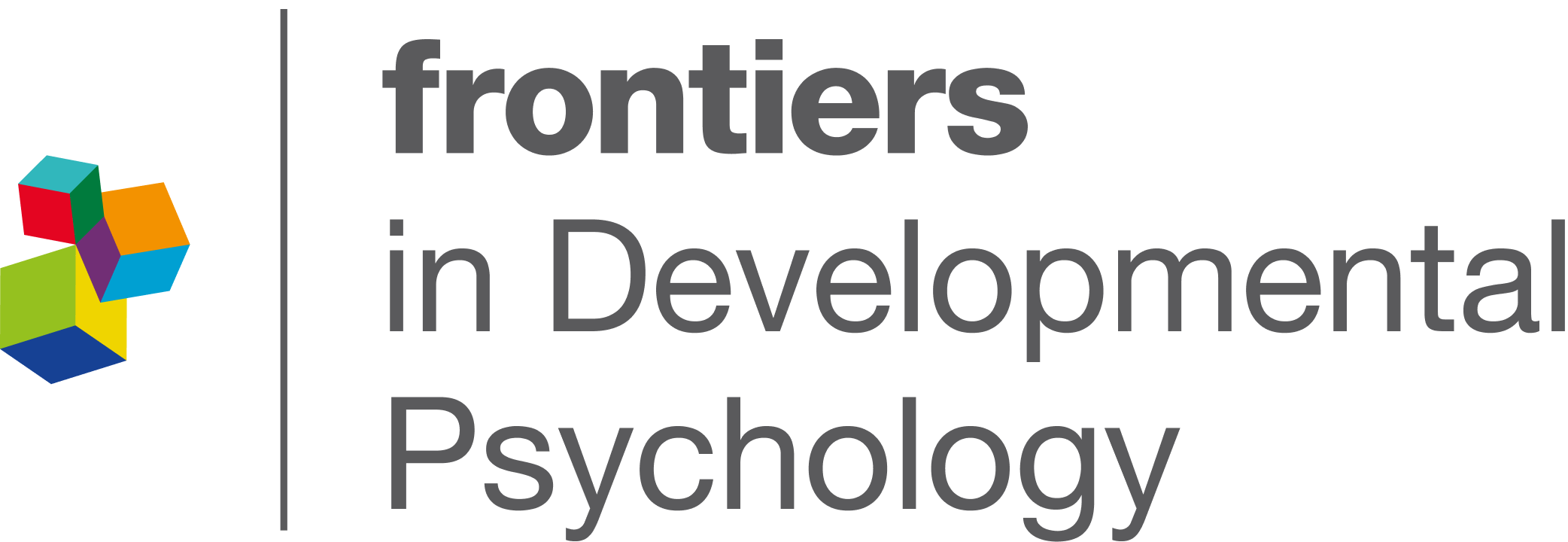 FDPYS_Logo_Grey